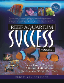 Click Here for Brief Overview of Reef Aquarium Success